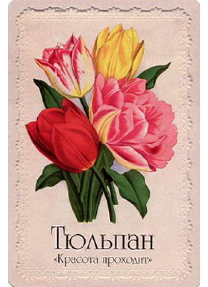 Оракул «Селам или Язык Цветов»